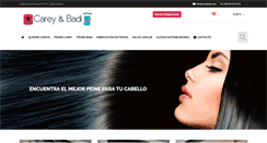 Desktop Screenshot of careybadi.com